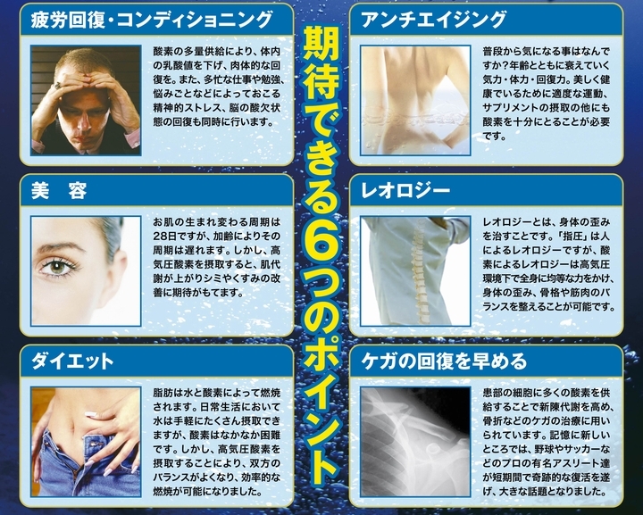 6つのポイント